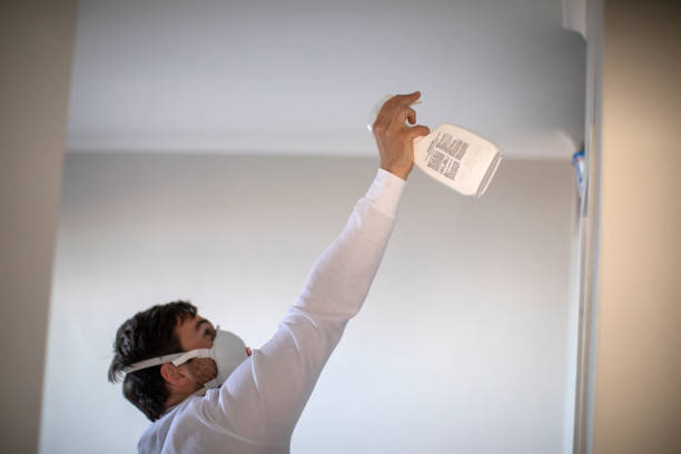 Best Same-Day Mold Removal  in Boise City, OK