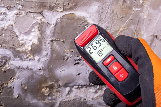 Best Mold Remediation  in Boise City, OK