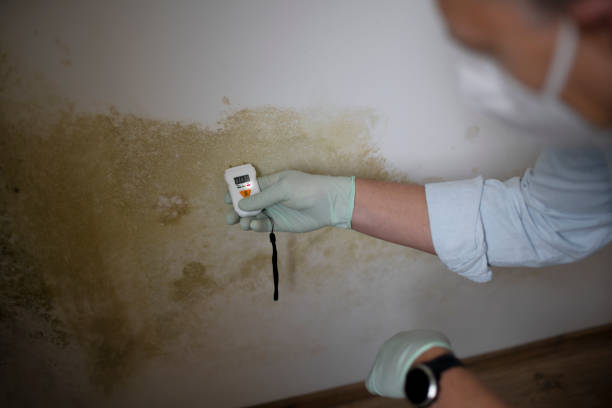 Best Crawl Space Mold Removal  in Boise City, OK